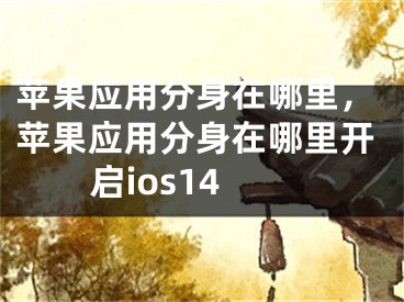 苹果应用分身在哪里，苹果应用分身在哪里开启ios14