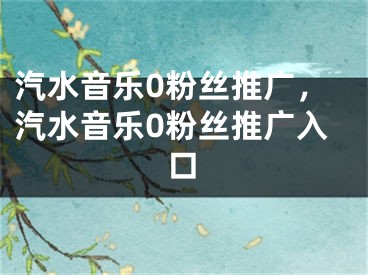 汽水音乐0粉丝推广，汽水音乐0粉丝推广入口