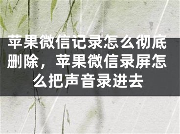 苹果微信记录怎么彻底删除，苹果微信录屏怎么把声音录进去