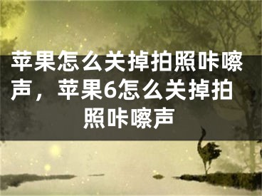 苹果怎么关掉拍照咔嚓声，苹果6怎么关掉拍照咔嚓声