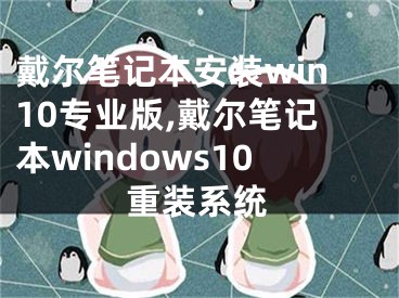 戴尔笔记本安装win10专业版,戴尔笔记本windows10重装系统