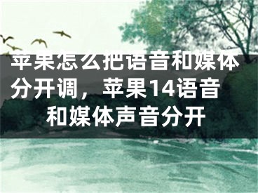 苹果怎么把语音和媒体分开调，苹果14语音和媒体声音分开