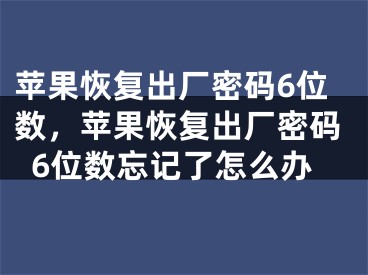 苹果恢复出厂密码6位数，苹果恢复出厂密码6位数忘记了怎么办