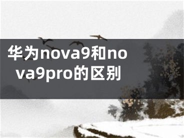 华为nova9和nova9pro的区别