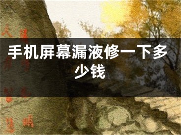 手机屏幕漏液修一下多少钱