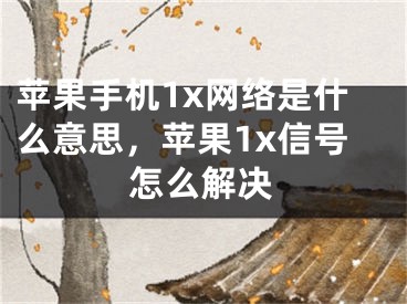 苹果手机1x网络是什么意思，苹果1x信号怎么解决