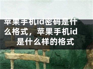 苹果手机id密码是什么格式，苹果手机id是什么样的格式