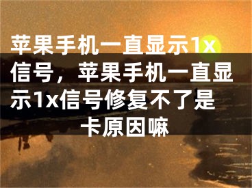 苹果手机一直显示1x信号，苹果手机一直显示1x信号修复不了是卡原因嘛