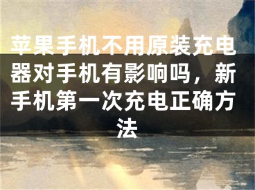 苹果手机不用原装充电器对手机有影响吗，新手机第一次充电正确方法