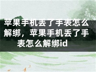 苹果手机丢了手表怎么解绑，苹果手机丢了手表怎么解绑id