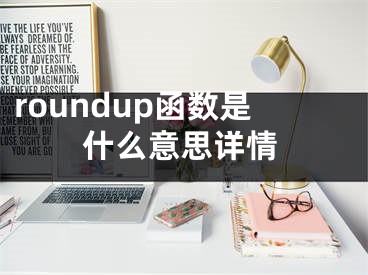 roundup函数是什么意思详情