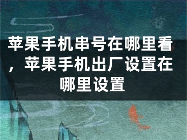 苹果手机串号在哪里看，苹果手机出厂设置在哪里设置