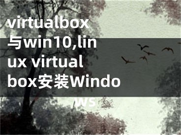 virtualbox与win10,linux virtualbox安装Windows