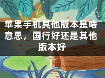 苹果手机其他版本是啥意思，国行好还是其他版本好