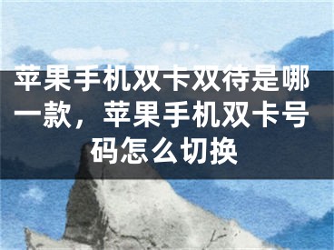 苹果手机双卡双待是哪一款，苹果手机双卡号码怎么切换