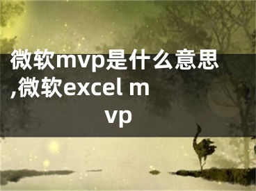 微软mvp是什么意思,微软excel mvp