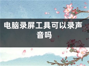 电脑录屏工具可以录声音吗