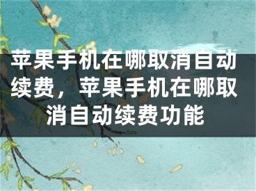 苹果手机在哪取消自动续费，苹果手机在哪取消自动续费功能