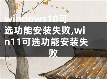 windows10可选功能安装失败,win11可选功能安装失败