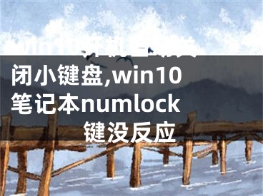 win10开机自动关闭小键盘,win10笔记本numlock键没反应