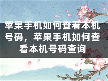 苹果手机如何查看本机号码，苹果手机如何查看本机号码查询