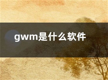 gwm是什么软件