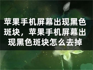 苹果手机屏幕出现黑色斑块，苹果手机屏幕出现黑色斑块怎么去掉