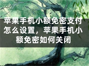 苹果手机小额免密支付怎么设置，苹果手机小额免密如何关闭