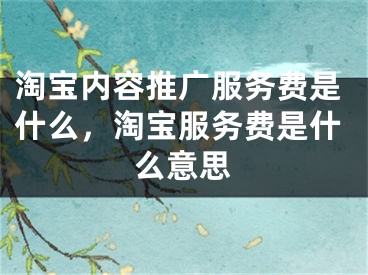 淘宝内容推广服务费是什么，淘宝服务费是什么意思