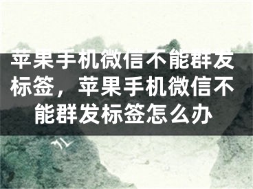 苹果手机微信不能群发标签，苹果手机微信不能群发标签怎么办