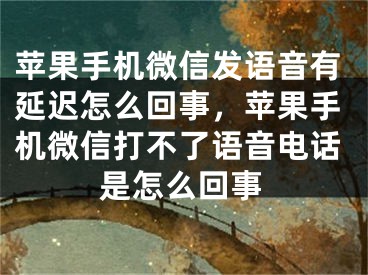 苹果手机微信发语音有延迟怎么回事，苹果手机微信打不了语音电话是怎么回事