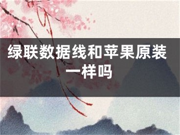 绿联数据线和苹果原装一样吗