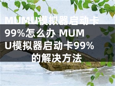 MUMU模拟器启动卡99%怎么办 MUMU模拟器启动卡99%的解决方法