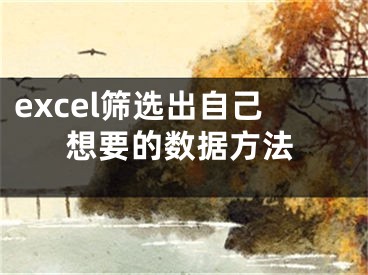 excel筛选出自己想要的数据方法