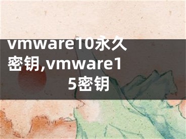 vmware10永久密钥,vmware15密钥