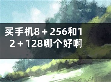 买手机8＋256和12＋128哪个好啊