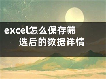 excel怎么保存筛选后的数据详情