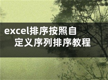 excel排序按照自定义序列排序教程