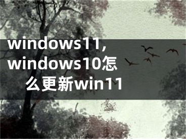 windows11,windows10怎么更新win11