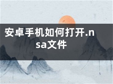 安卓手机如何打开.nsa文件