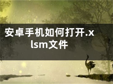 安卓手机如何打开.xlsm文件