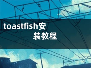 toastfish安装教程
