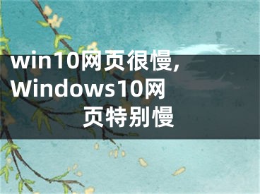 win10网页很慢,Windows10网页特别慢