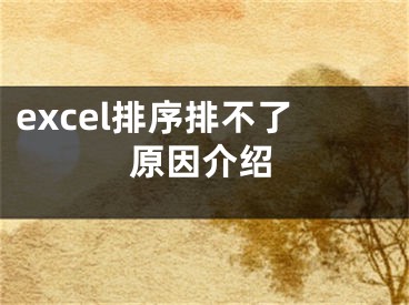 excel排序排不了原因介绍