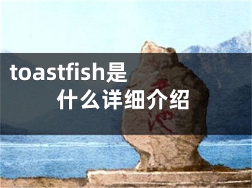 toastfish是什么详细介绍