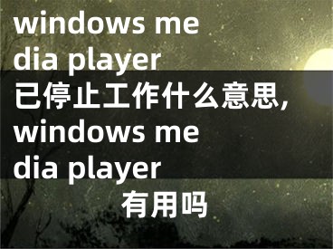 windows media player已停止工作什么意思,windows media player有用吗