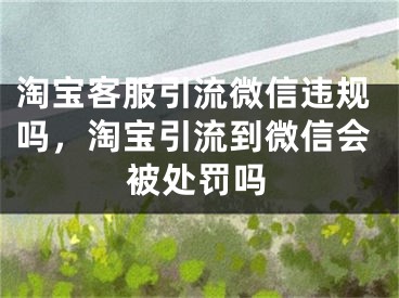 淘宝客服引流微信违规吗，淘宝引流到微信会被处罚吗