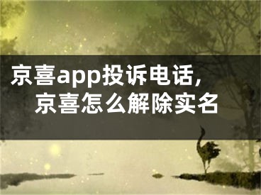 京喜app投诉电话,京喜怎么解除实名