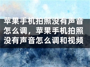 苹果手机拍照没有声音怎么调，苹果手机拍照没有声音怎么调和视频