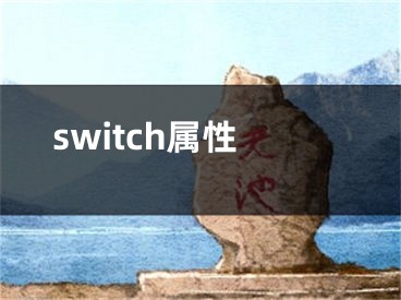 switch属性